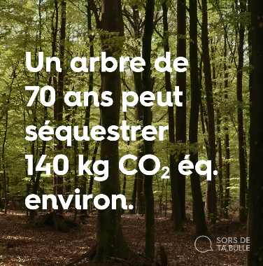 Un arbre de 70 ans peut séquestrer 140 kg CO2 éq. environ.